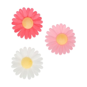 Edible Wafer Flowers - Daisy pk/13